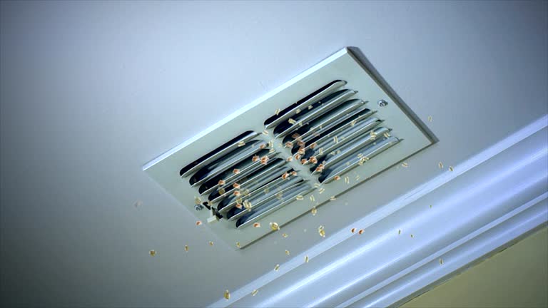 Best Commercial Air Duct Cleaning  in White Sulphur Springs, WV