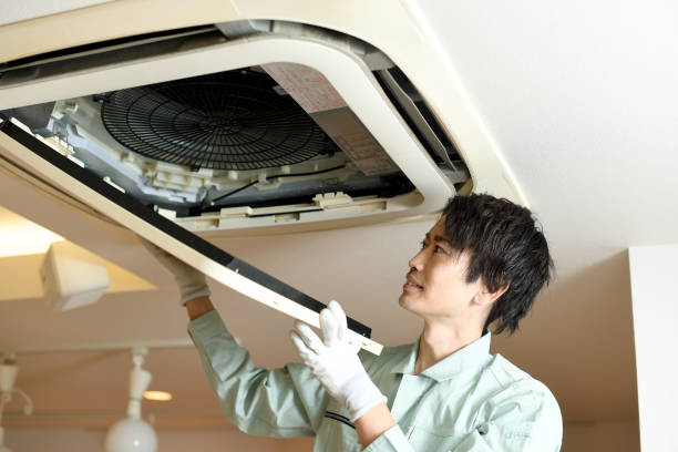 Best Best Air Duct Cleaning Near Me  in White Sulphur Springs, WV